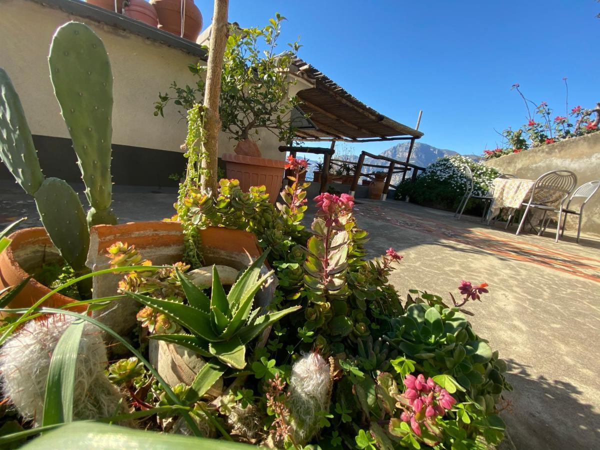 פראינו Giardino Eden Villa מראה חיצוני תמונה