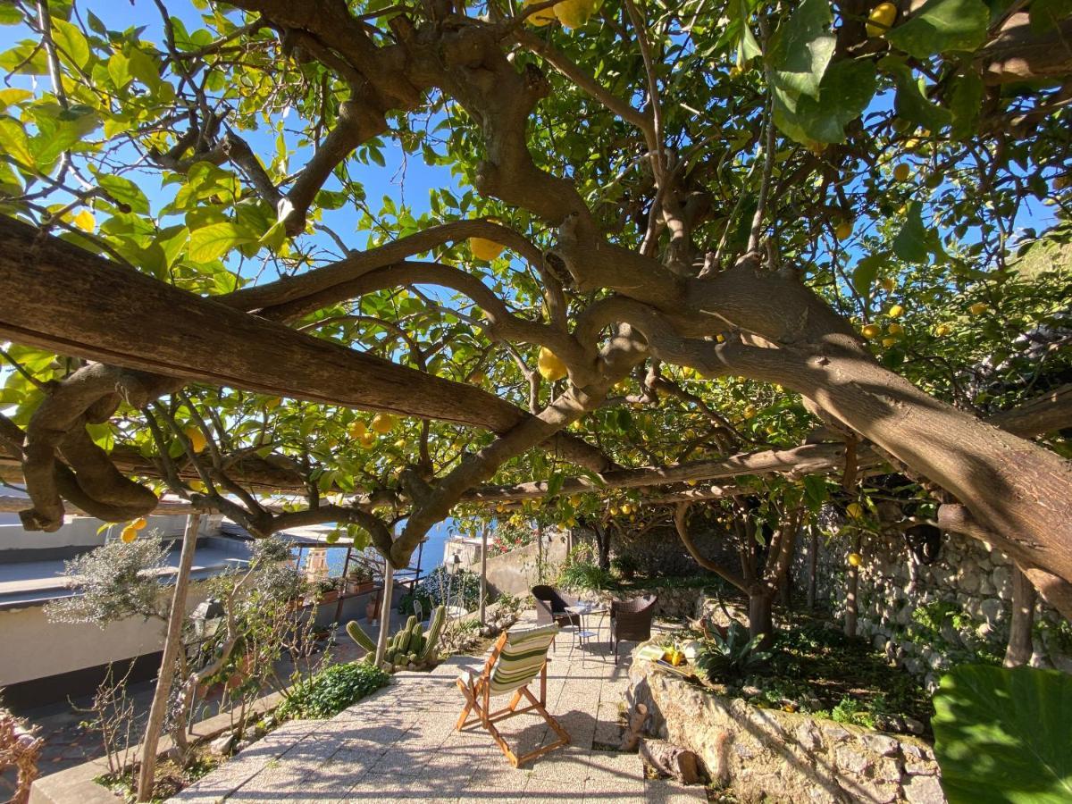 פראינו Giardino Eden Villa מראה חיצוני תמונה